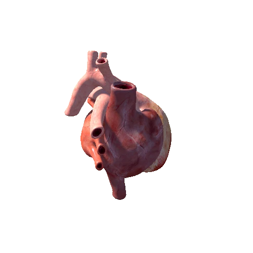 prefab heart realistic static